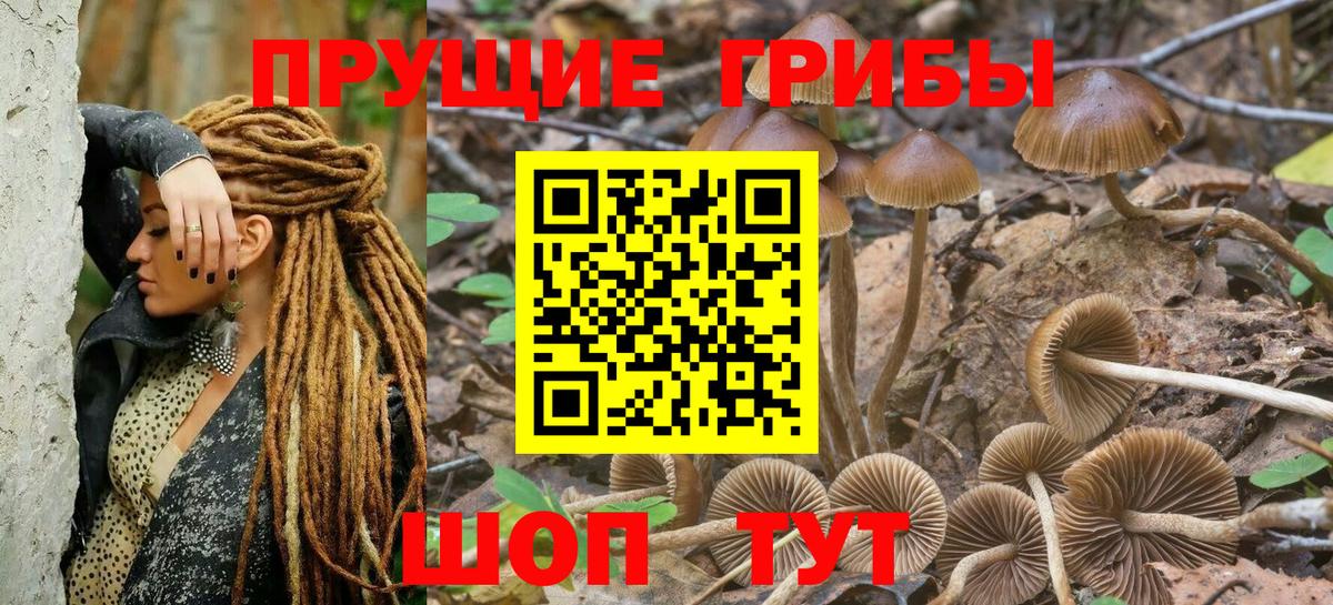 Псилоцибиновые грибы ЛСД Кулебаки